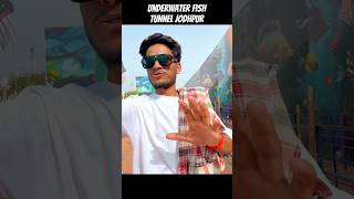 fish Jodhpur #underwaterfishtunnel #jodhpur #rajasthani #newsong #shortfeed #yt