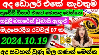 🔴 කුවේට් ඩිනාර් එකක ම්ල Kuwait dinar rate today|currency rate|remittance|Saudi riyal rate 2024.10.19