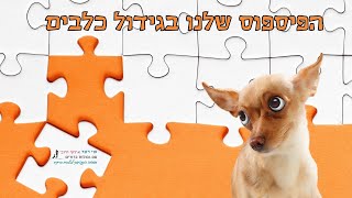 האם אתם מפספסים את הכלב שלכם?