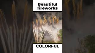 Beautiful Colorful Firework Celebration #shorts