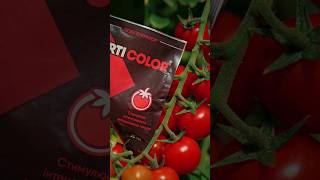 Ferti Color - стимулятор інтенсивного забарвлення плодів 🍅🫑🍑