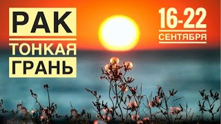 Рак ♋️ 16-22 сентября 2024 года ❤️🌈🌖✨☀️Таро Ленорман прогноз предсказания