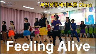 Feeling Alive Line Dance l 초급수업용 l 필링 얼라이브 라인댄스 l 부천 상동 세이브존 Class