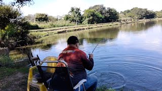 dando aquele treino no pesqueiro canaã  só na massinha [ pescaria na massa]