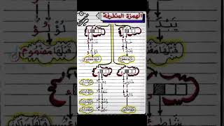 تلاميذ السنة الثالثة و الرابعة و الخامسة ابتدائي 💪🏻 قواعد تحتاجونها 🥰🥰 #اشتراك #مراجعة #تعليق