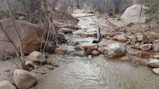 Sutherland Wash in Catalina State Park