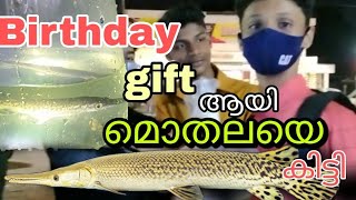 മൊതലയെ birthday gift ആയി കിട്ടിയപ്പോൾ 😨. got an aligator gar😍😍😍💥🤟.