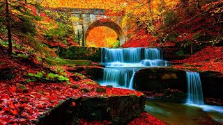 3 HOURS of Relaxing Morning Music in Autumn 🎵 Meditation Music, Yoga, Healing "Autumn Colors"