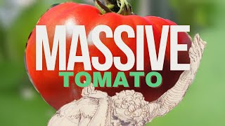 Tomato Tasting (Bodacious) [Adv.51]