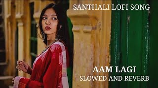 Santhali lofi song ( aam lagi) #santalilofisong #santalilofi #hembram_editz99