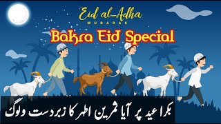 Bakra Eid Special 2024 | 2nd Day of Bakra Eid | Eid Ul Azha Mubarak | Bakray Ne Mari Taqi Ko Takkar