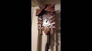 cuckoo clock working