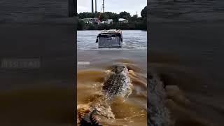 "Trapped in the Middle of a River: Bus Encounters a Huge Crocodile!"#adventure #crocodile  #shorts