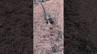 How to laying water pipe under driveway quickly