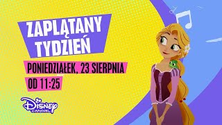 Disney Channel HD Poland Summer Continuity 13.08.2021 (Polish audio)