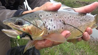 ADELANTO DE LA MINI SERIE - LAS MARRONES MAS GRANDES DEL MUNDO - PESCA DE TRUCHAS CON MOSCA