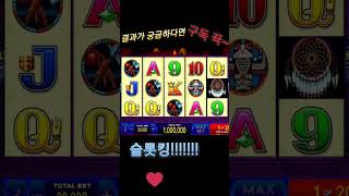 카지노 슬롯 보너스게임 그림 5개 다맞음 casino slot INDIAN DREAM 5 picture yammi