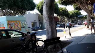 Crazies Of Santa Monica, Los Angeles - makemoneyrelax