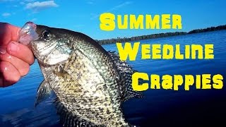 Summer Weedline Crappies