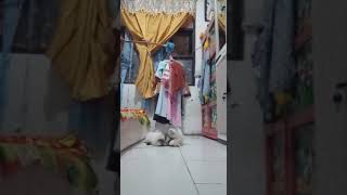 cat house                                               kucing rumahan part 3