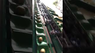 Mangosteen grading machine