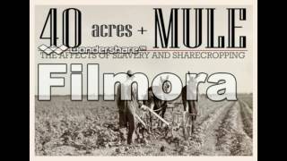 film om 40 acres. YEKTA HAMZA UMUT KIA