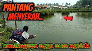 Spot mancing nila tangerang - nggak di sangka banyak bandeng besar