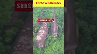 Did You Know That...  3 Whale Rock #shorts #backtobasics