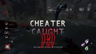 Cheater Caught in Dead By Daylight