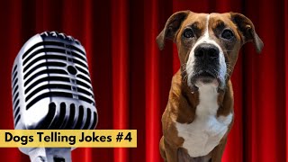 Dogs Telling Jokes 5  - Bane the Boxer