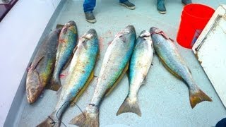 Coral Sea Sportfishing - 2 day San Nicolas Island - July 6 - 7 2013