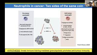 [Ioannis Kourtzelis]  Innate immune training of granulopoiesis promotes anti-tumor activity