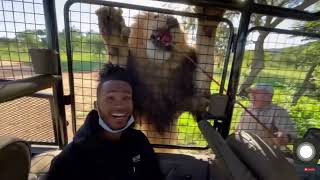 Mansa Mayne Jumped By Lion