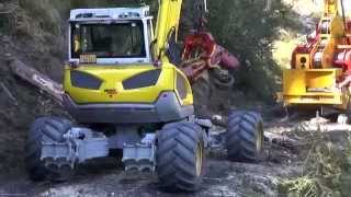 Menzi Muck M540 Harvester