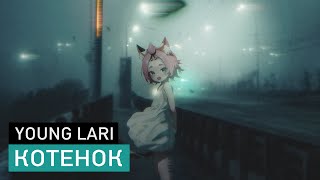 young lari — котёнок