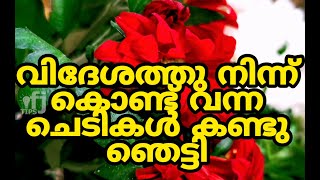 How can brought plants&flowers from abroad |എങ്ങനെ പൂക്കളും ചെടികളും വിദേശത്തു നിന്നും കൊണ്ട് വരാം .