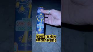 Mega Crackling Coconut Testing #diwalicelebration #crackers #experiment #diwali #shorts #shortsfeed