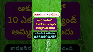 Land for Sale in Akunuru | Kankipadu | Vijayawada | 9866400255 |#shorts #viral #krishnadistrict