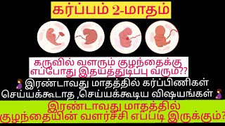 2nd Month pregnancy baby growth in tamil | month 2 pregnancy care in tamil | pregnancy symptoms