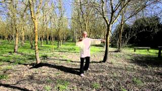 TAIJI QIGONG - trailer del video tutorial