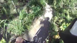 Oleta State Park - Gilligan Mountain Bike Trail Part 2