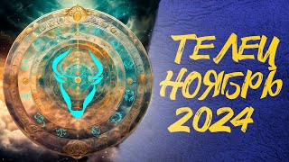 Тельцы Ноябрь 2024