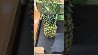 Apple pen Pineapple pen# guess missed something#ytshorts# subscribetomychannel