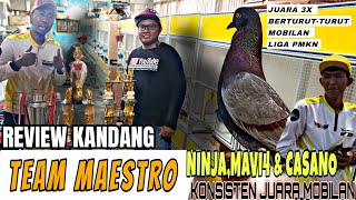 🔴NINJA|MAVI4|CASANO|PLAYER TEAM INTI MAESTRO KONSISTEN JUARA MOBILAN|LANGSUNG DARI KANDANG|CANG LAPE