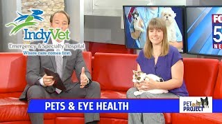 Pets And Eye Health