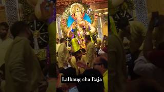 Lalbaug cha Raja 🕉 #trending #youtube #pandal #darshan #travel #shorts #ytshorts #yt #ganpati