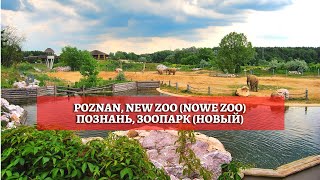 Побывали в зоопарке в Познани / Poznan, New Zoo / #зоопарк #poznan