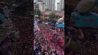 Mumbai cha raja 🔥🙏🏻 #trending #shorts #ganpatibappa