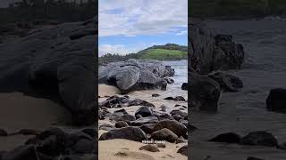 Kudawella Beach,  Sri Lanka