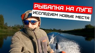 Рыбалка на реке Луга, исследуем новые места.